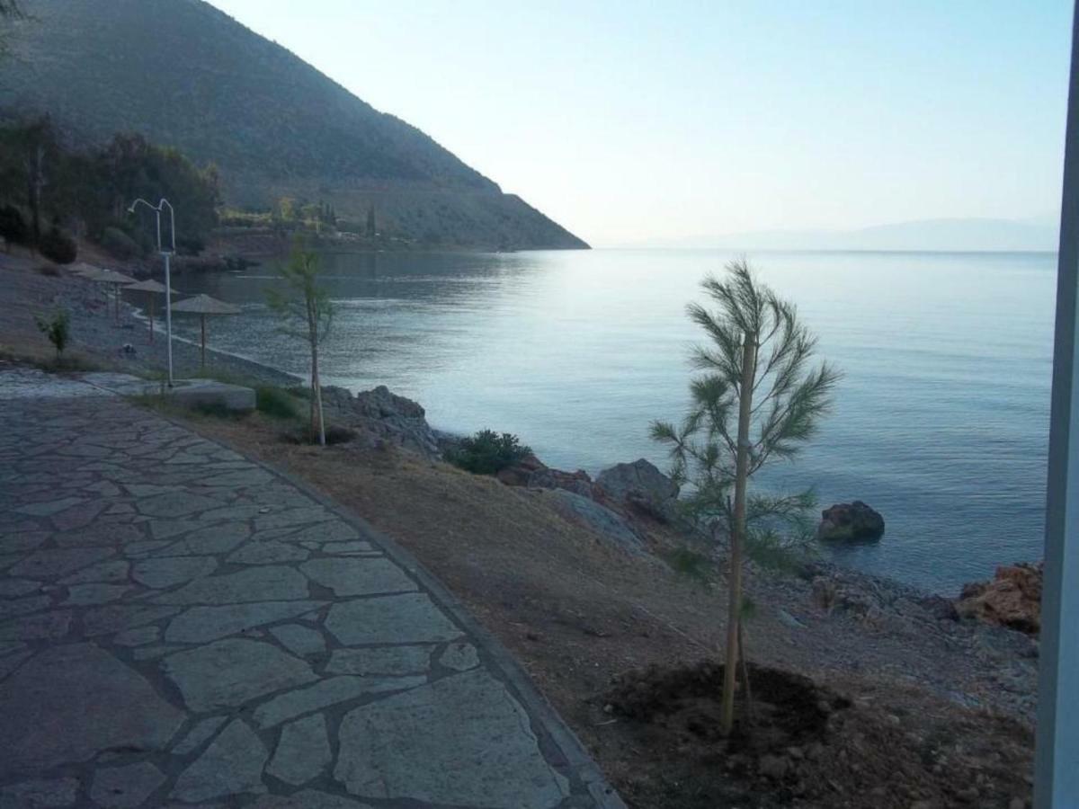 Apartamento Luxury Seafront House Nearby Delphi Kirra Exterior foto