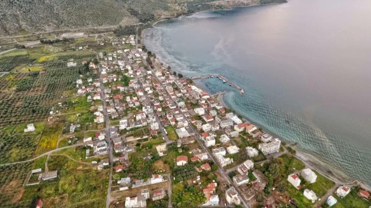Apartamento Luxury Seafront House Nearby Delphi Kirra Exterior foto